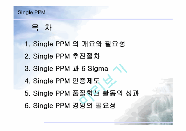 SINGLE PPM   (2 )